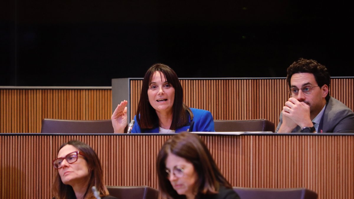 La ministra Mònica Bonell en la sessió del Consell General aquesta tarda