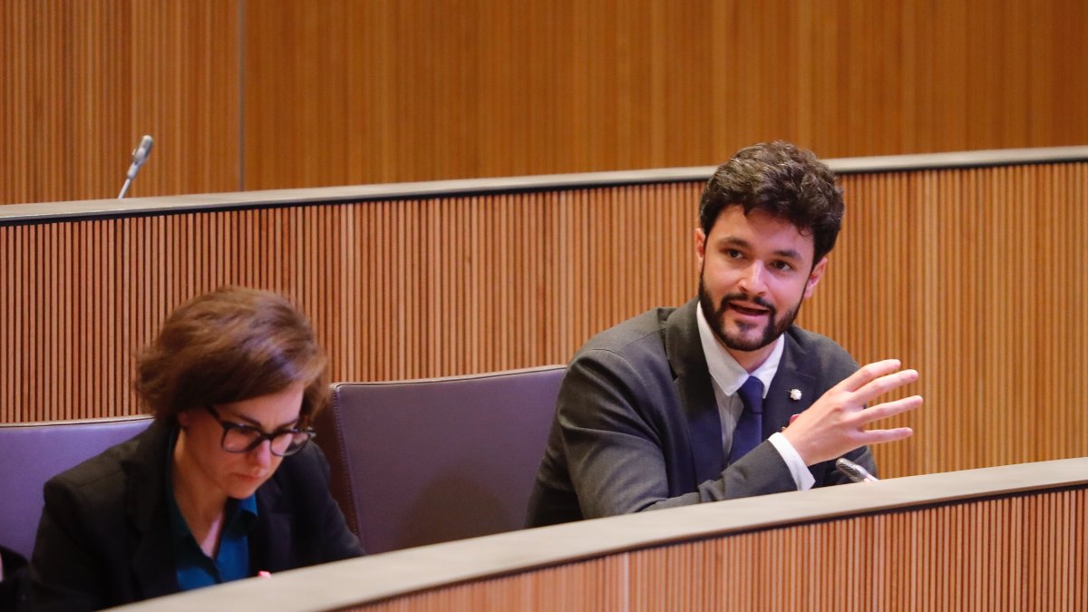 Cerni Escalé durant un moment de la sessió d’ahir al Consell General.
