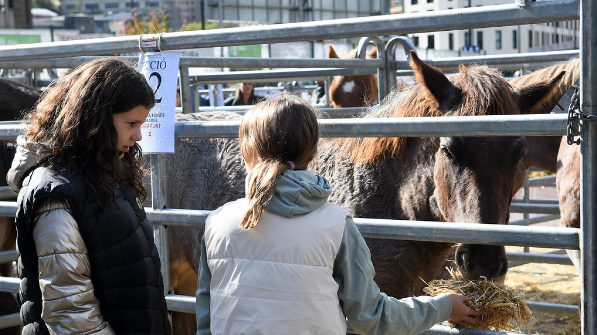 Fira d'Andorra la Vella