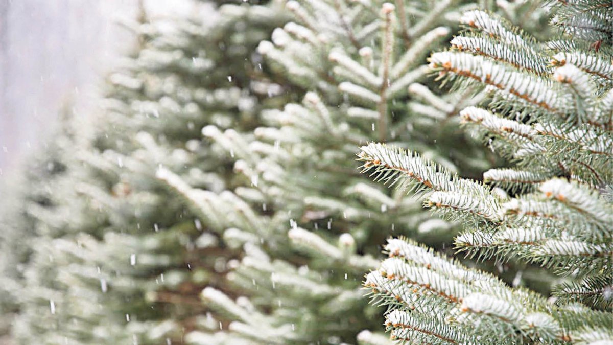 Els darrers dies d’octubre ja han donat pistes sobre l’hivern