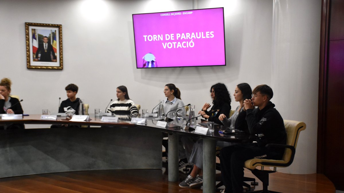 La sessió del consell de joves.
