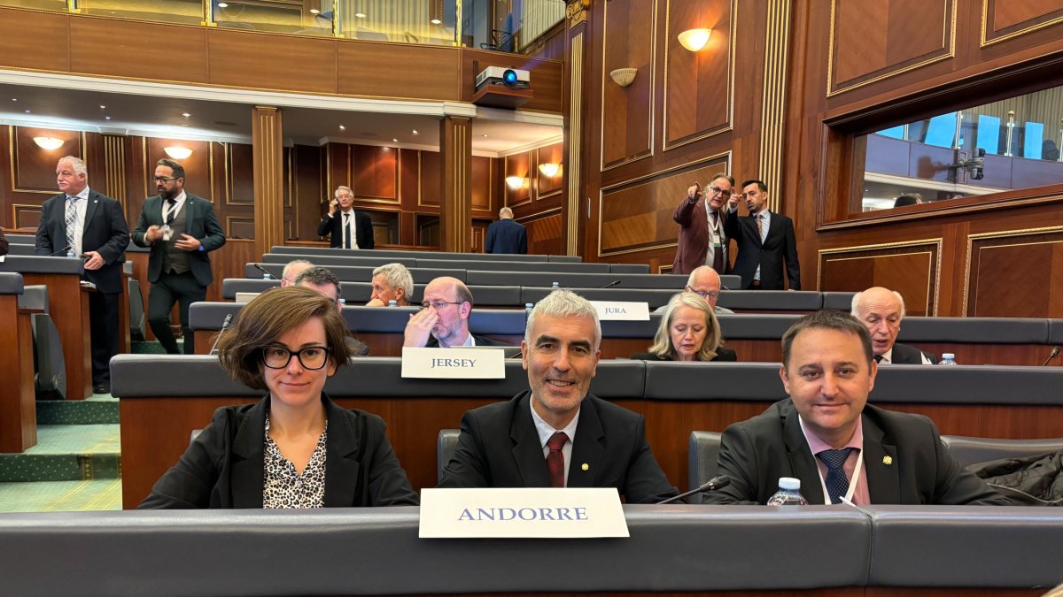 La delegació d'Andorra a l'Assemblea Regional Europa