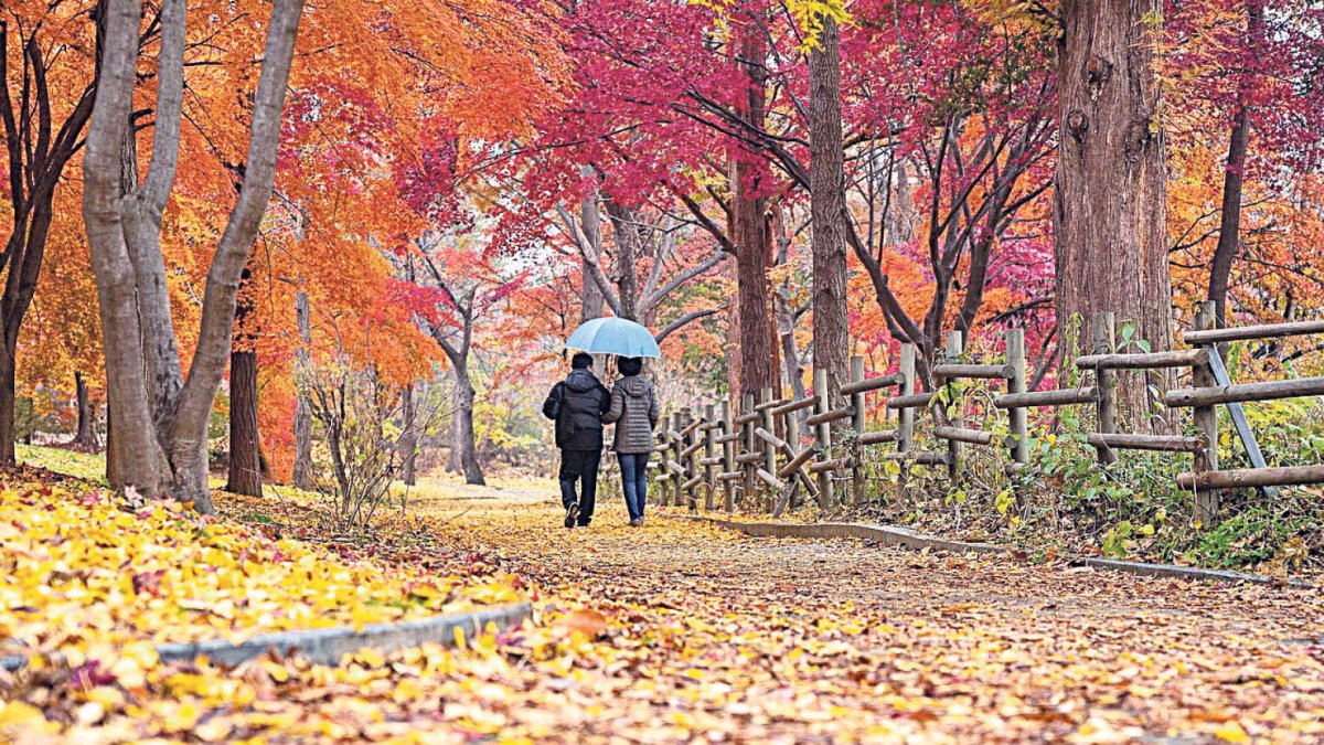 Estem perdent la capacitat atencional i això ens fa tornar més ximples, i aprenguem menys i pitjor