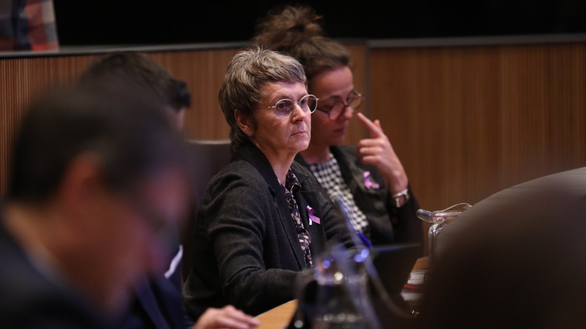 Susanna Vela, consellera del PS