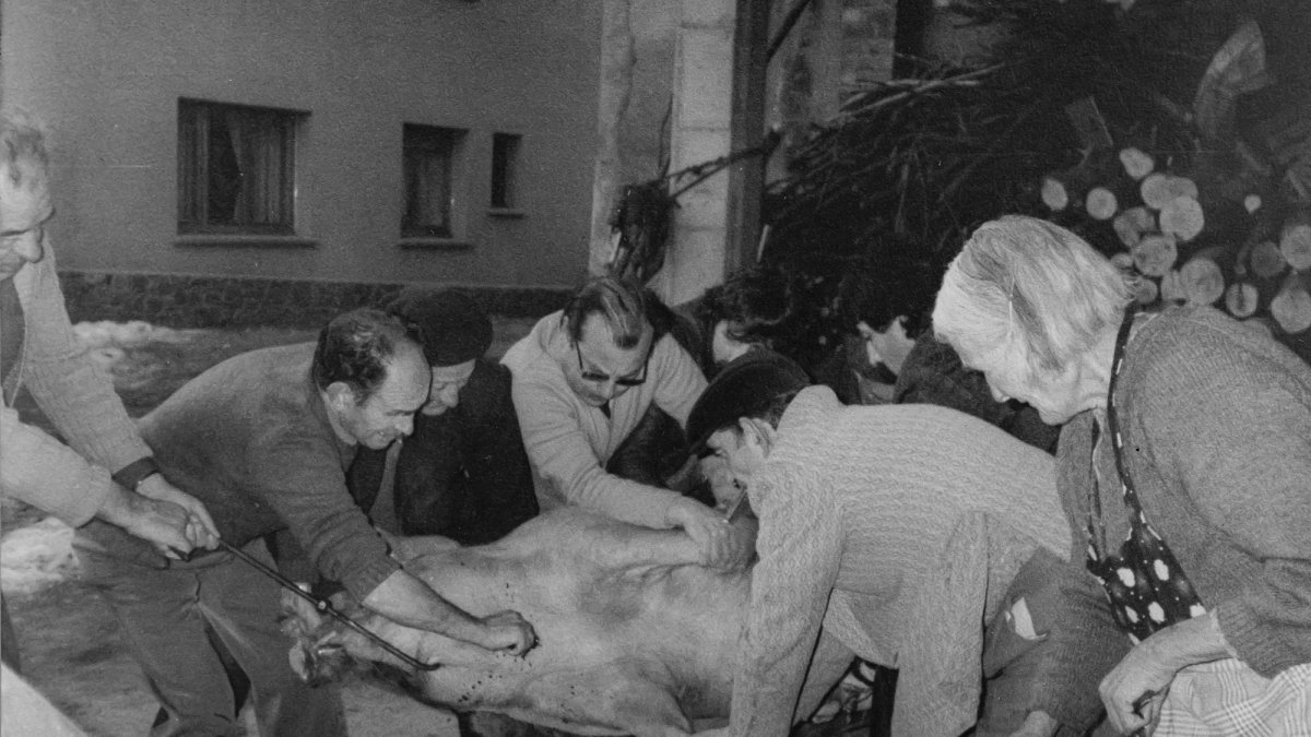 Foto de la matança cedida per Casa Grillaire.