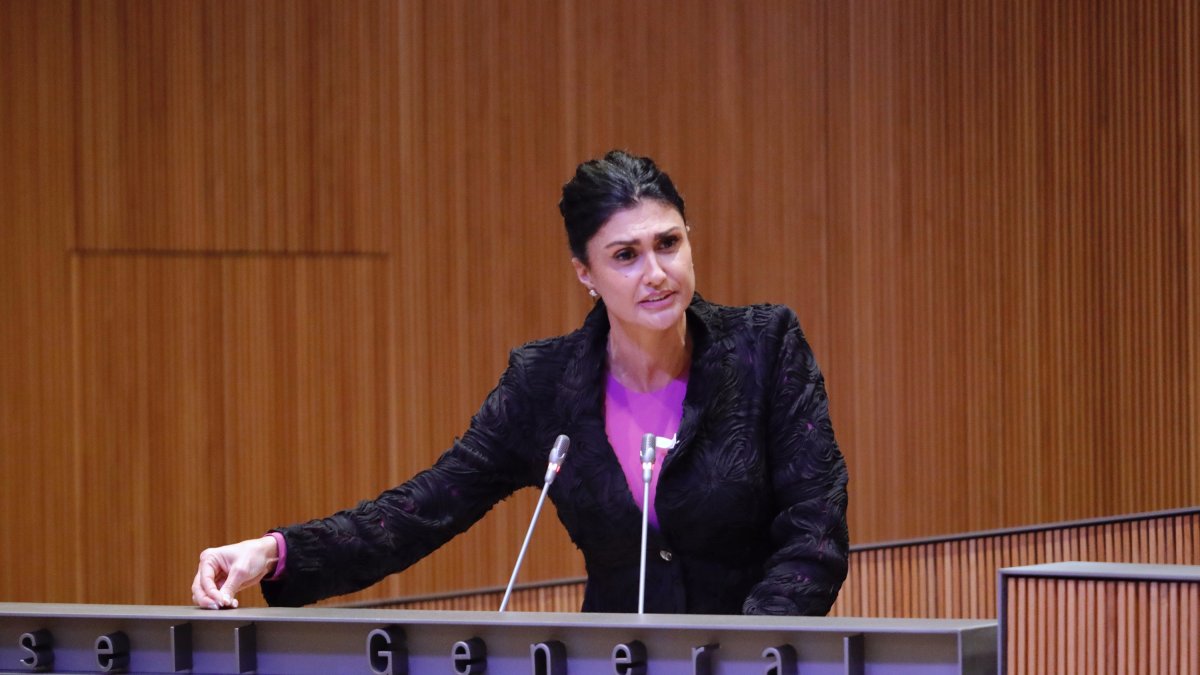 Carine Montaner durant la sessió del Consell General
