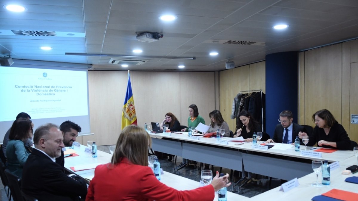 Un moment de la reunió de la Comissió Nacional de Prevenció de la Violència de Gènere