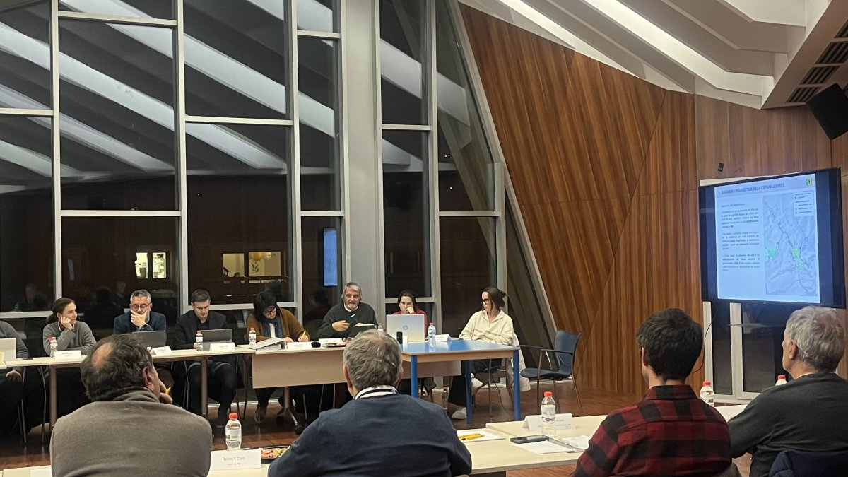 La reunió del Consell Consultiu