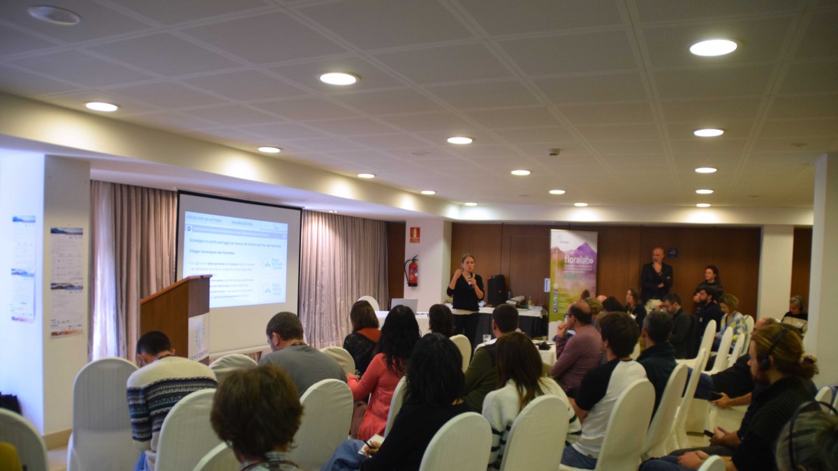 Un moment de les sessions de treball sobre tres projectes europeus dedicats a la cooperació al servei de la biodiversitat i els espais naturals d'Andorra Recerca+Innovació.