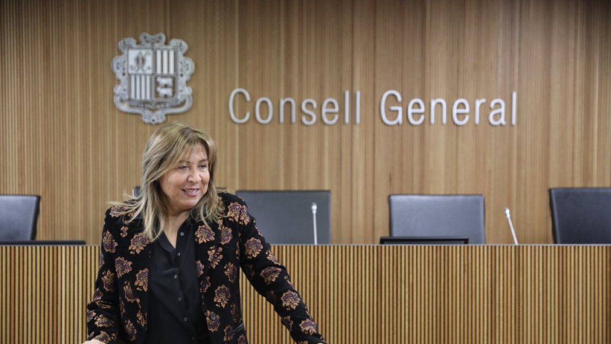 La ministra d’Economia i Habitatge, Conxita Marsol, al Consell.