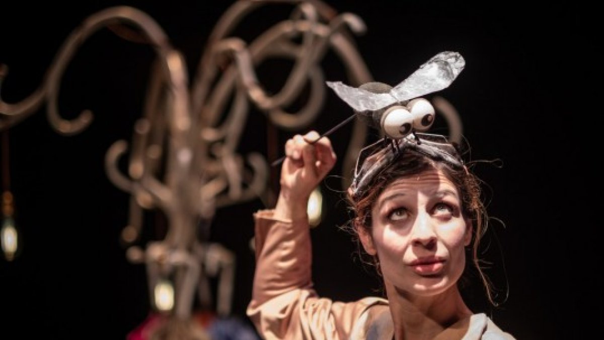 Espectacle 'Alma'