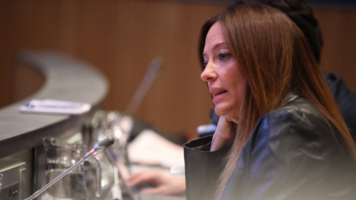 La ministra de Salut, Helena Mas, durant la sessió del Consell General d'avui