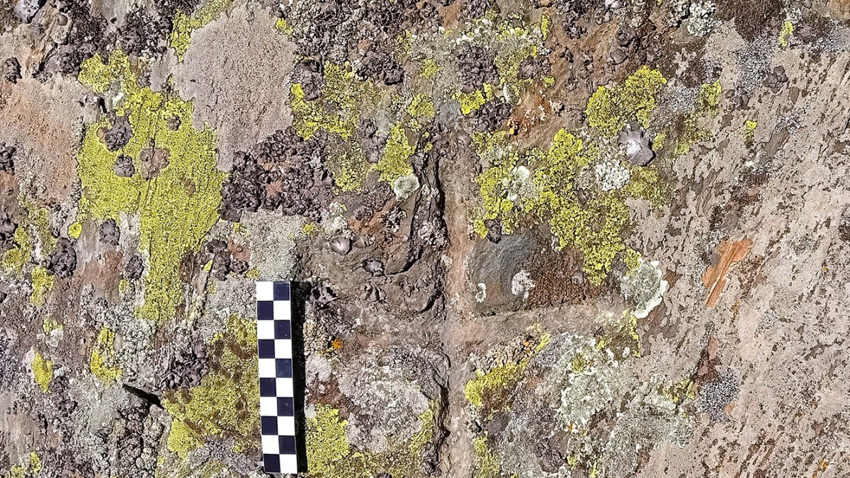 La Roca Encantada amb la creu de terme.