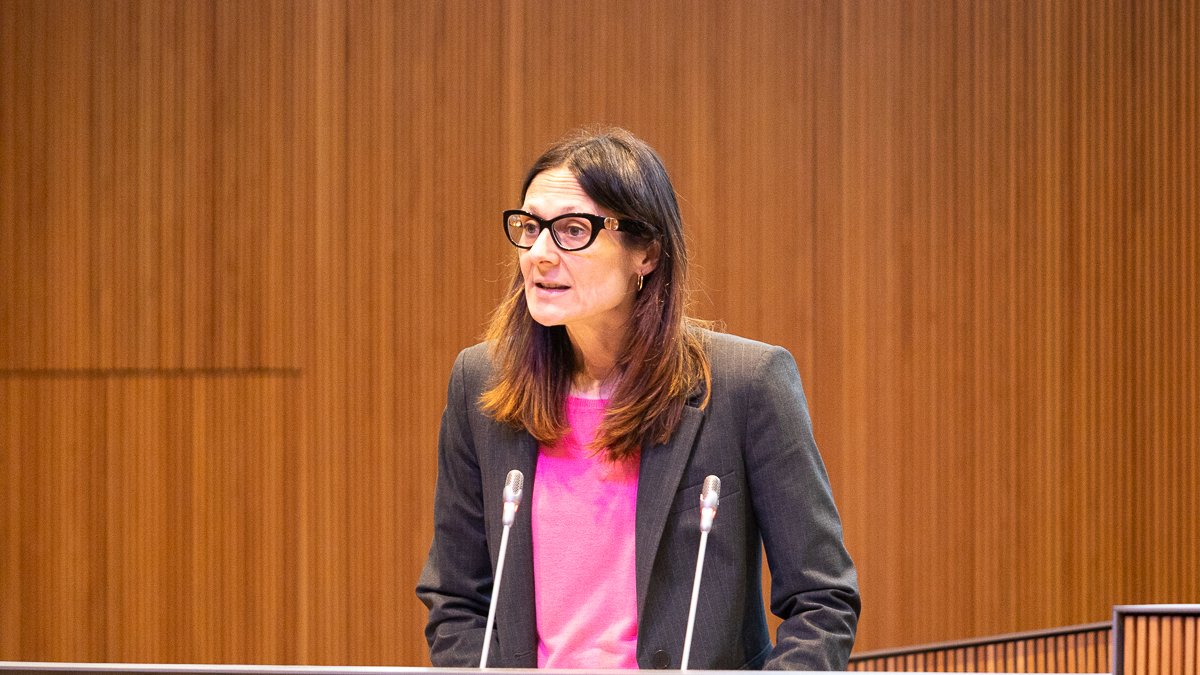 La ministra Ester Molné avui al Consell General