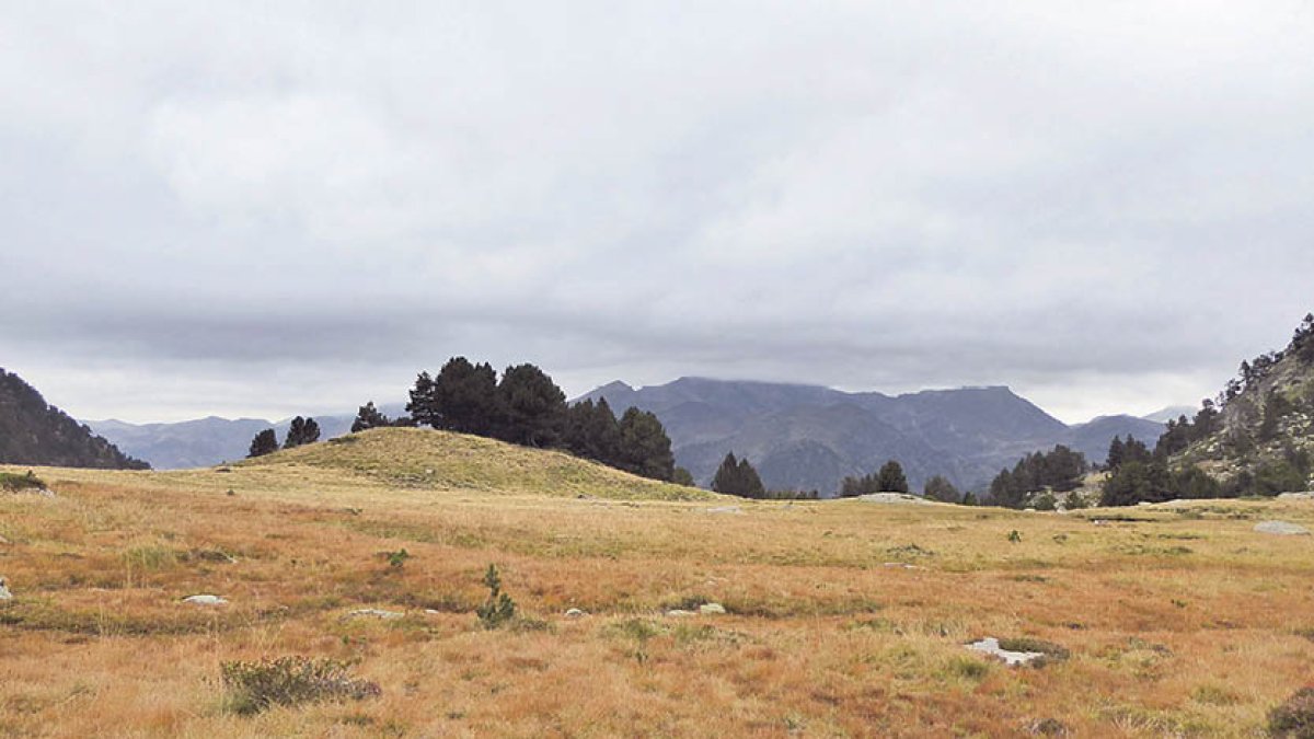 Cal reduir certs impactes en uns ecosistemes ja molt estressats