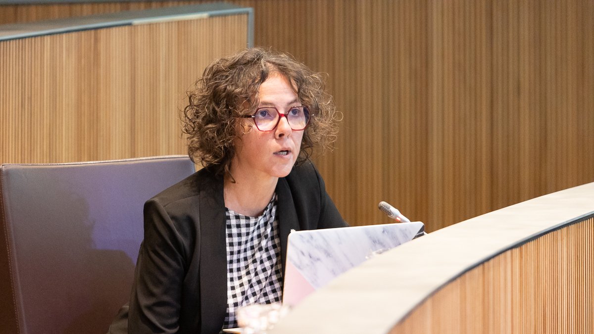 La presidenta del grup socialdemòcrata, Judit Casal