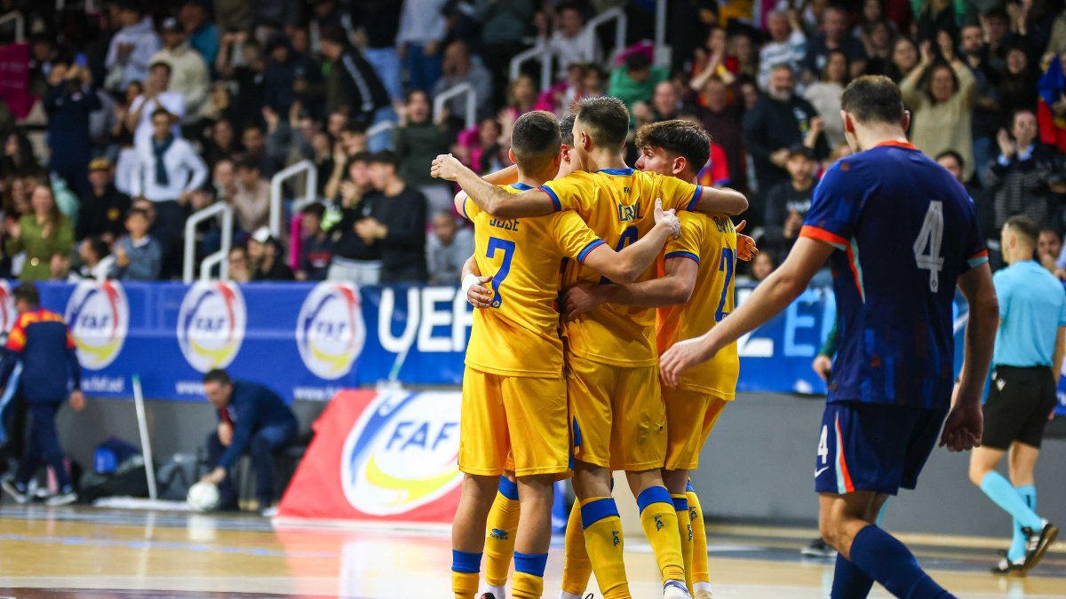 Els tricolors celebrant el gol que va suposar l’empat contra els Països Baixos.