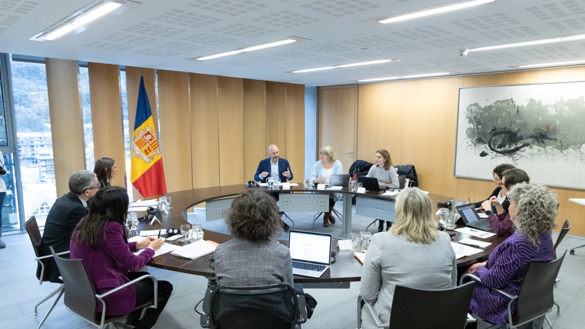 La delegació del Grevio amb la reunió amb els consellers generals