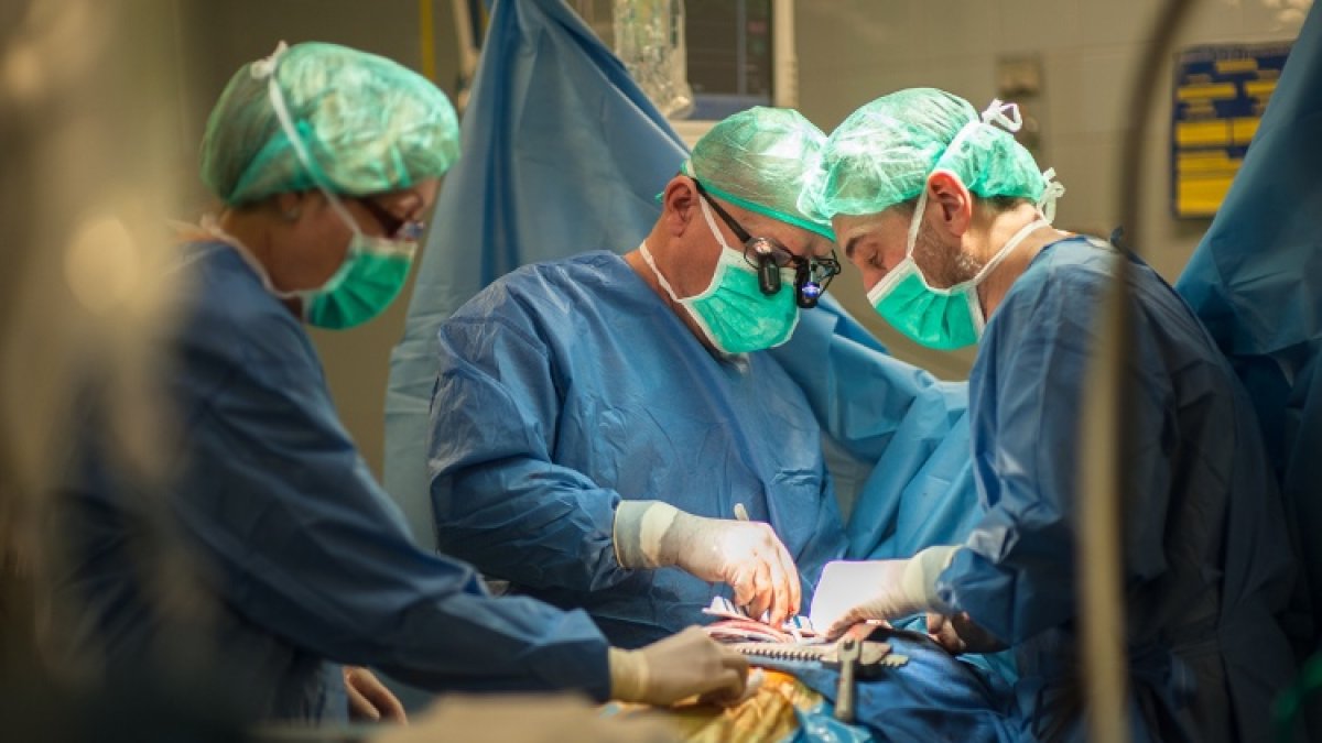 Una operació de trasplantament en un hospital català.