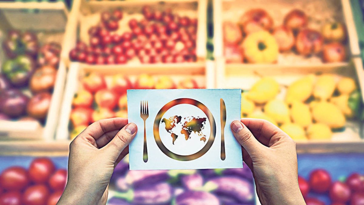 Cada any llencem 1.300 milions de tones d’aliments