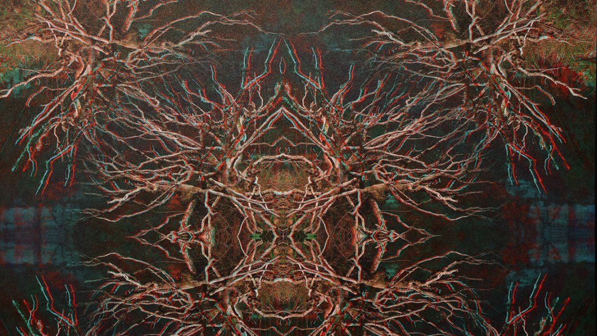 La imatge 'Amb els pèls de punta' de l'exposició 'De formes deformes' a l'Espai Caldes.