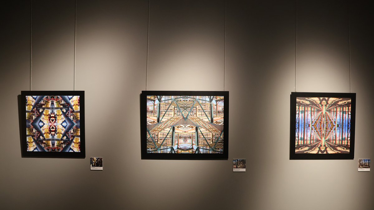 Algunes de les obres exposades.