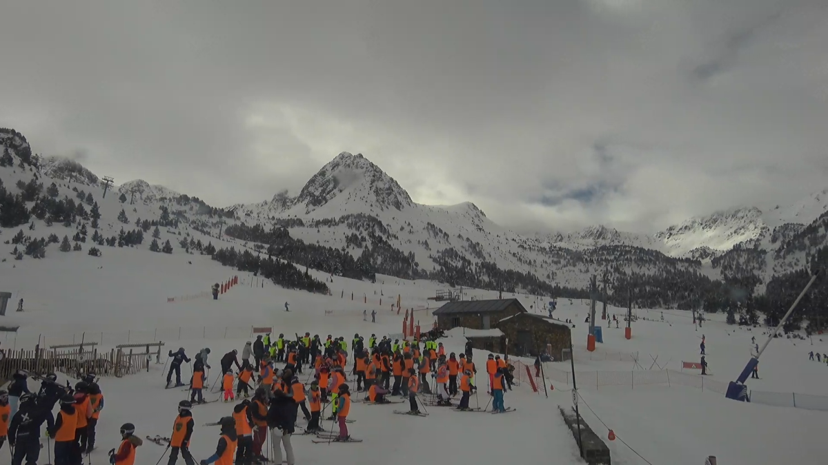 El sector Grau Roig aquest matí