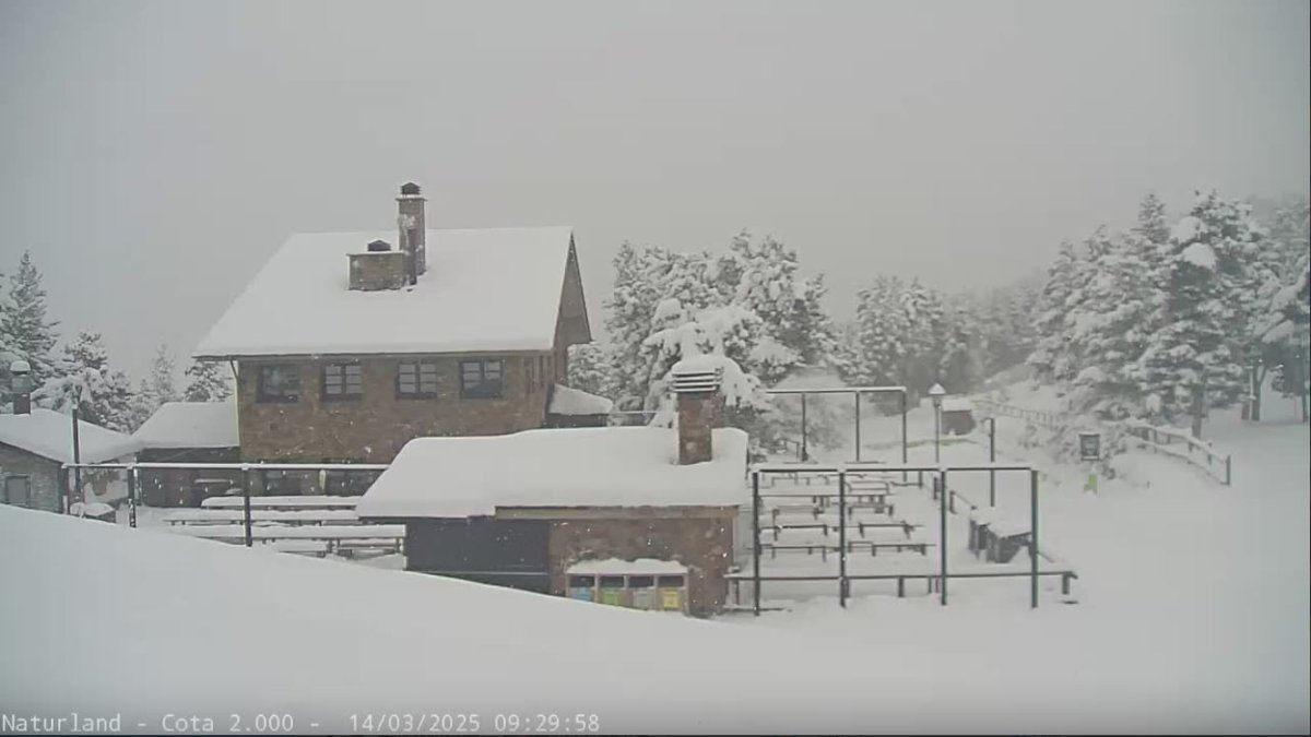 Naturland, ahir al matí.