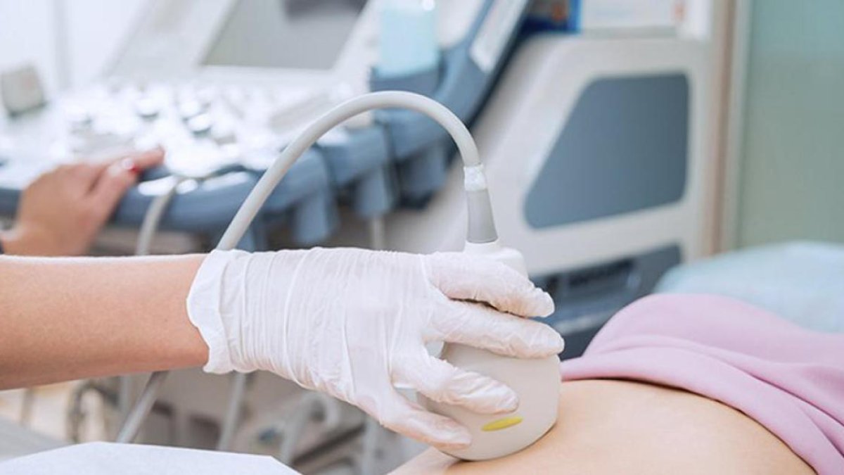 La CASS finança la reproducció assistida.
