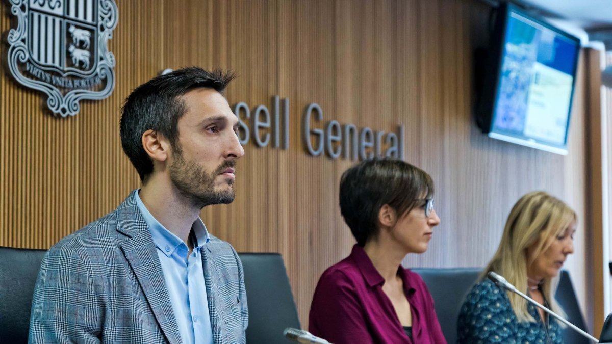 Els representants de l'AQUA en una compareixença al Consell General.