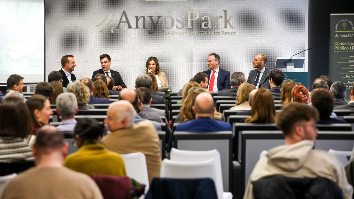 El Govern estudia obrir a capitals privats el parc eòlic del Maià.