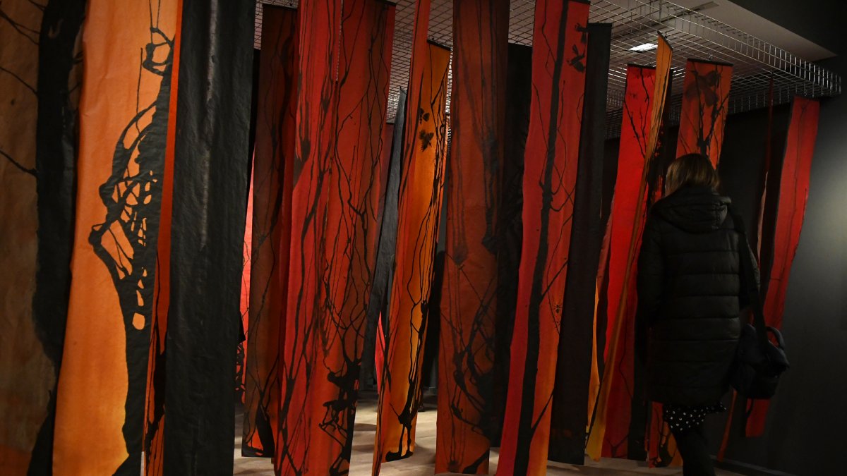 Una obra de Joan Xandri exposada a la Sala d'exposicions