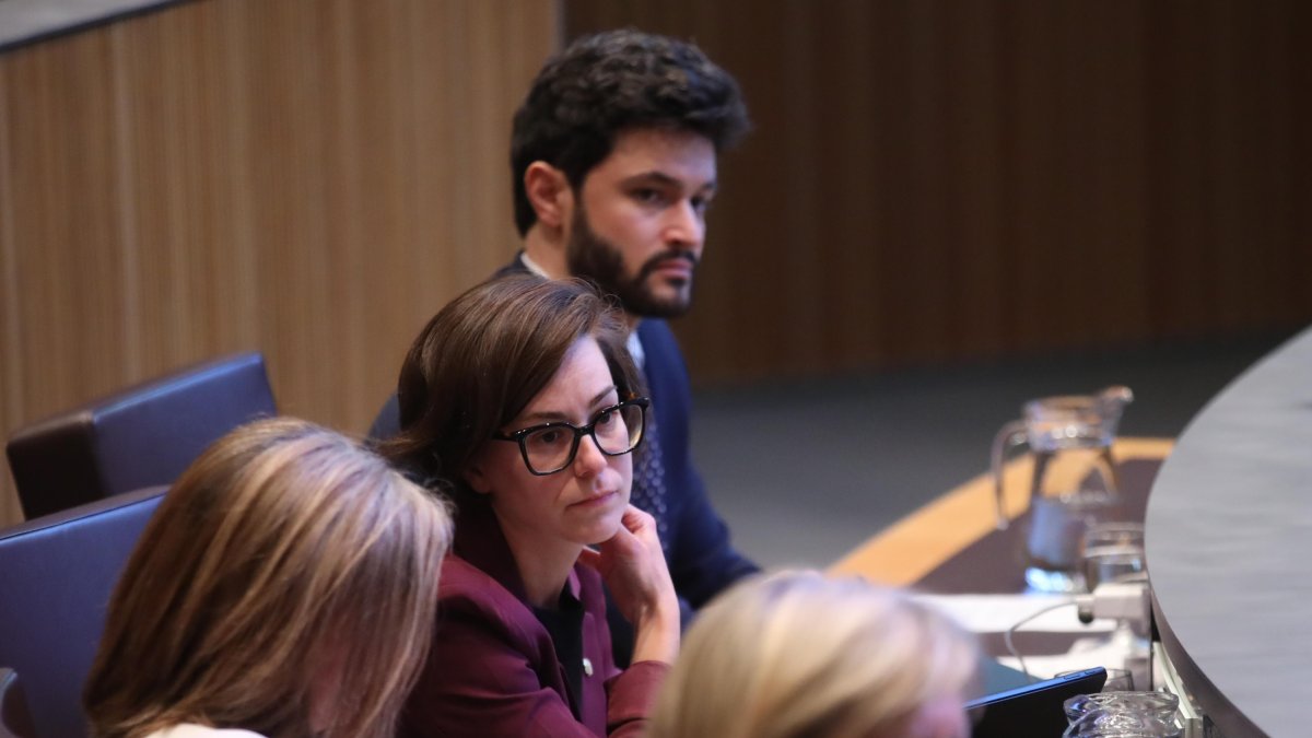 La consellera de Concòrdia Núria Segués i el president del grup, Cerni Escalé, durant una sessió del Consell General