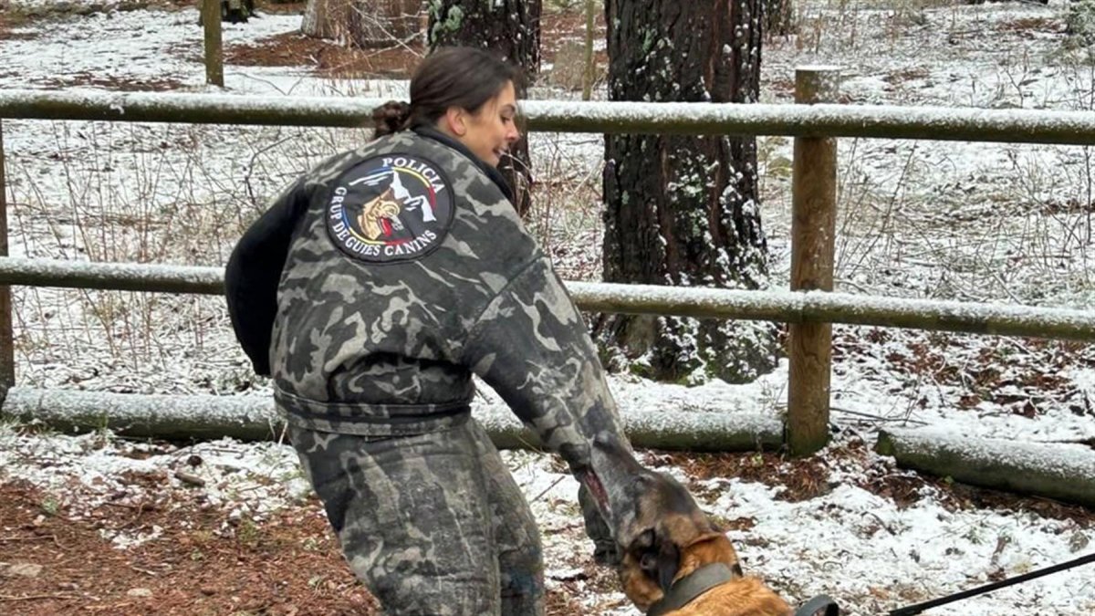 Una dona policia durant el concurs de guia caní
