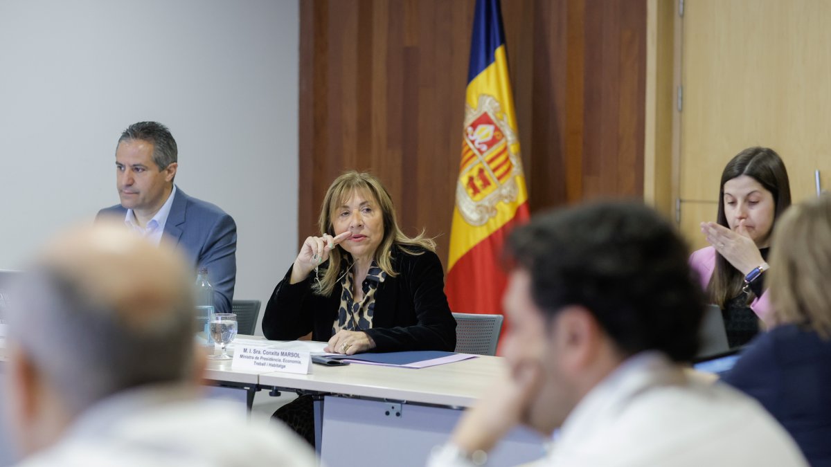 Conxita Marsol durant el Consell Andorrà d'Estadística