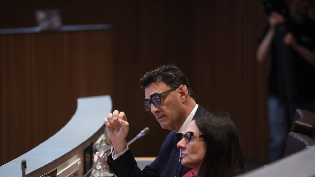 El ministre de Territori i Urbanisme, Raul Ferré, durant la intervenció al Consell General