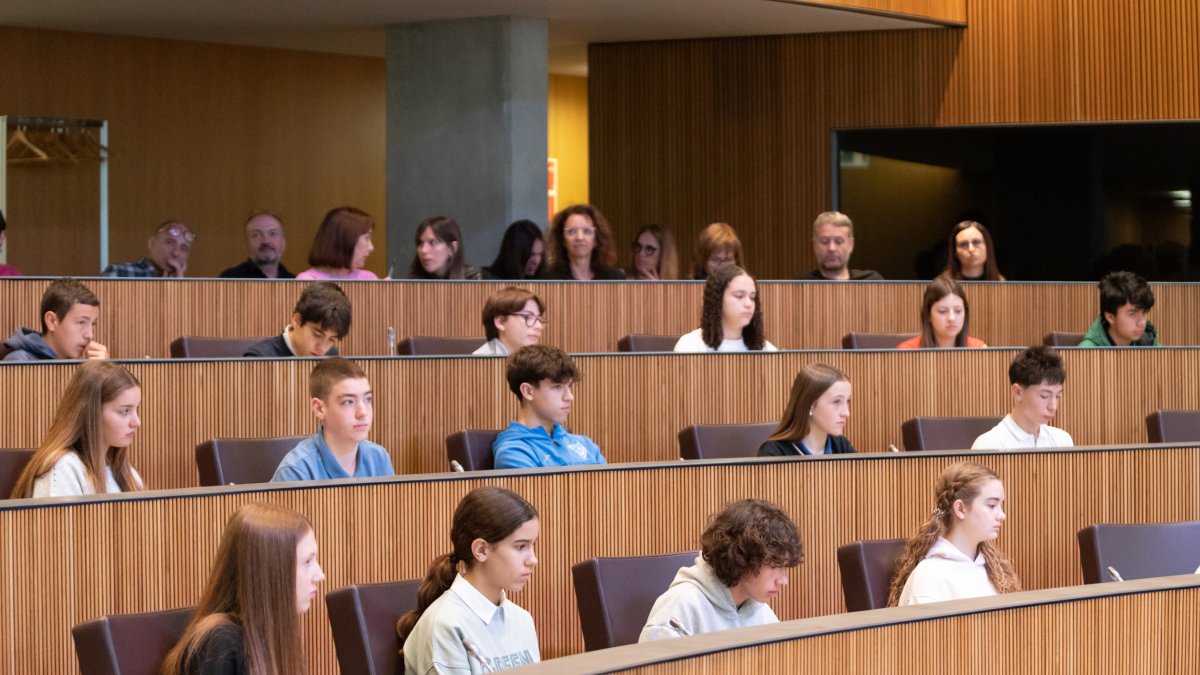 Un moment del 23è Consell General dels Joves que ha tingut lloc aquest dimecres.