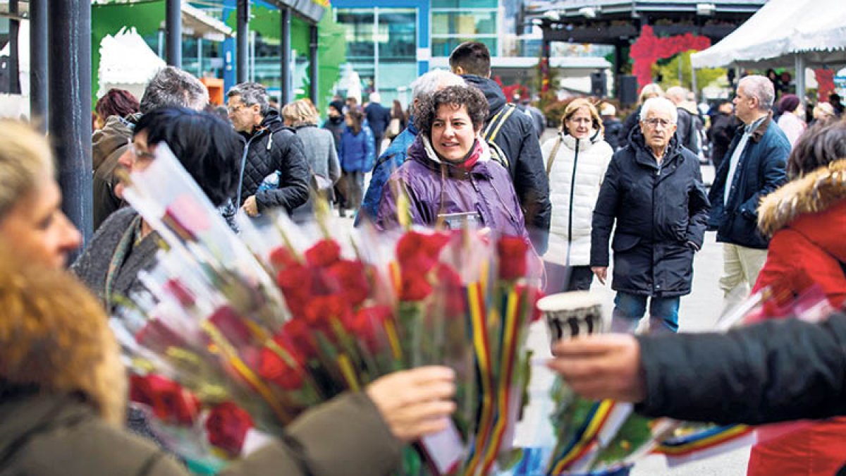 La clàssica rosa vermella tornarà a ser la més sol·licitada