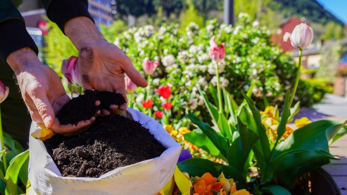 Encamp torna a repartir compost entre els ciutadans