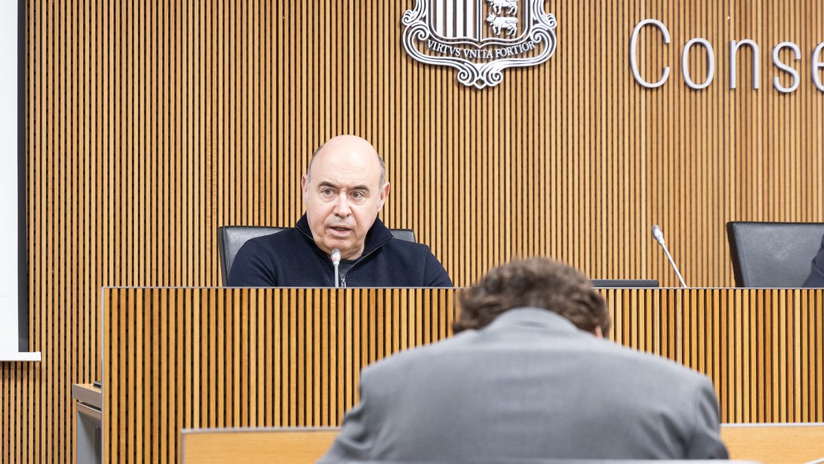 Martisella, durant una compareixença al Consell General.