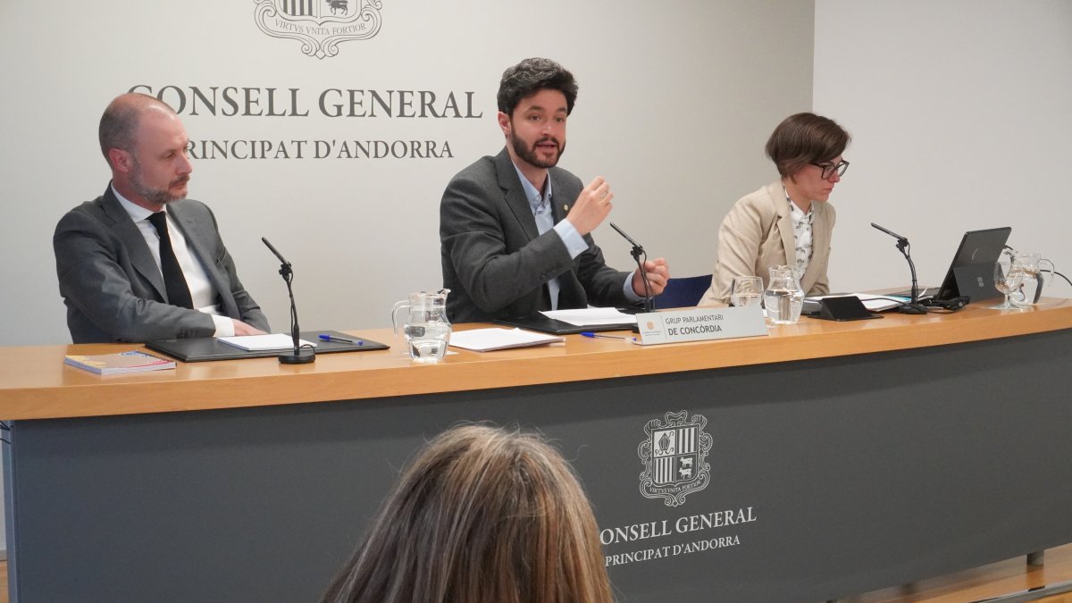 Presentació de la proposició de llei, dimarts al Consell General.