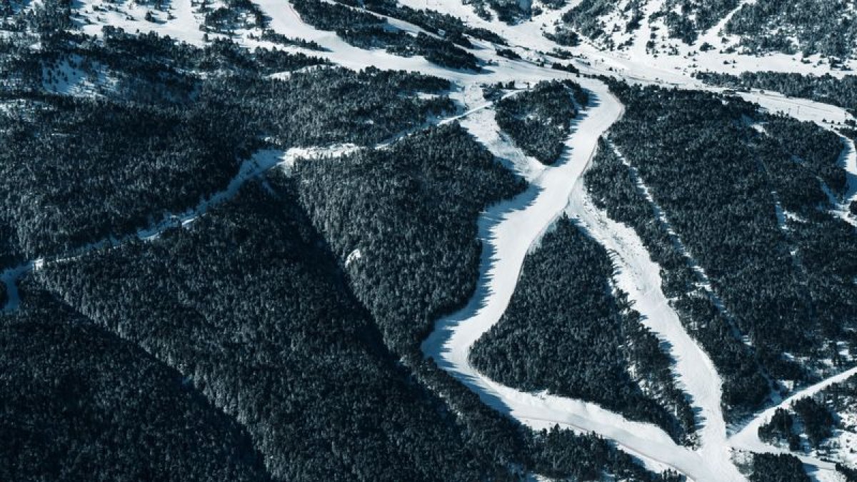 La pista Àliga on es disputarà la competició.