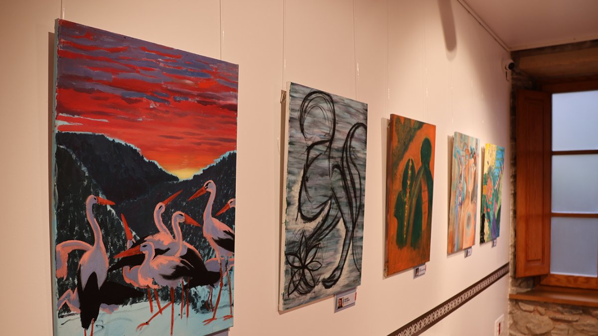 Algunes obres que conformen l'exposició de l'Art Camp.