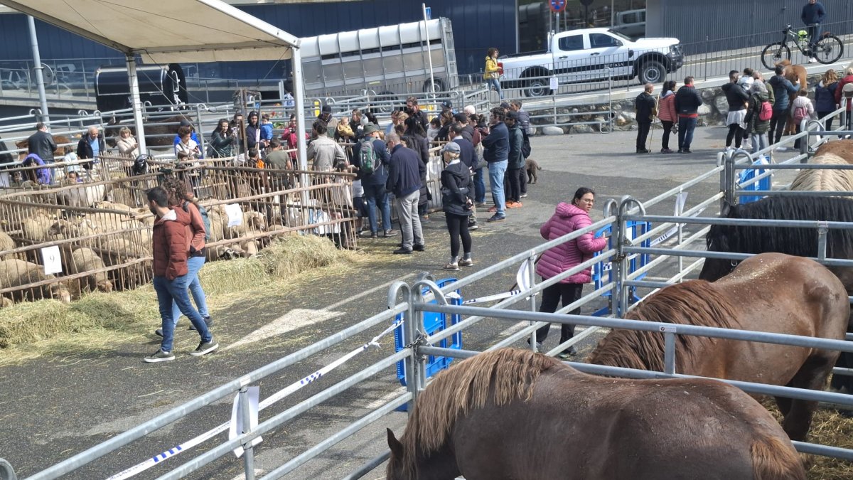 Visitants a la Fira del Bestiar d'Ordino.