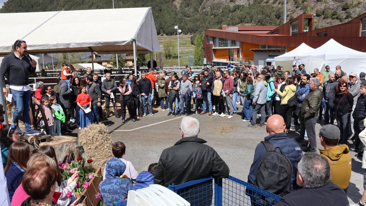 Fira del bestiar d'ordino