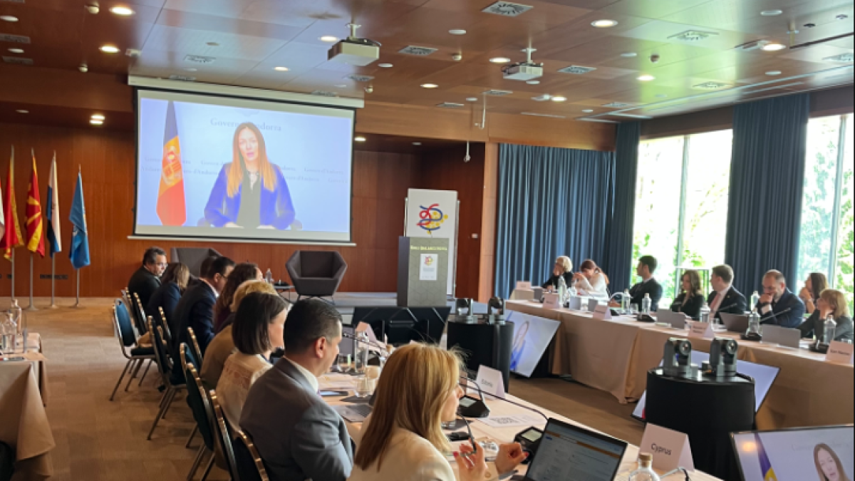 La ministra de Salut, Helena Mas, durant la intervenció telemàtica en la reunió dels petits estats europeus que formen part de l'OMS.