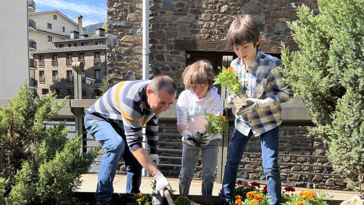 Un padrí ensenyant a plantar flors a dos infants de la Massana.