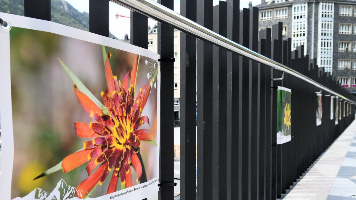 Fotografies de les lones divulgatives de l'exposició