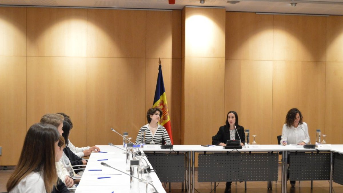 Un moment de la sessió del consell.