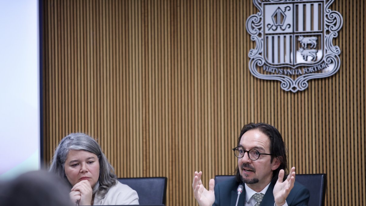 Landry Riba durant la compareixença sobre l'acord d'associació al Consell General